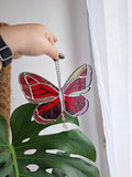 Schmetterling Rot irisierend