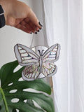 Schmetterling weiß